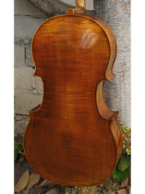 Vivo Zetoni model 300 4/4 Cello
