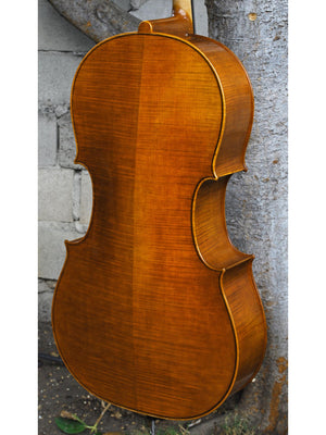 Vivo 'King Amati' 4/4 Cello