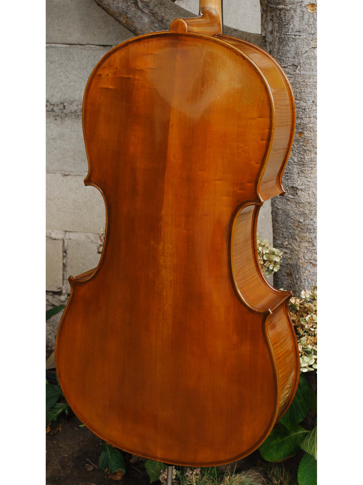Eastman model 830 Poplar 7/8 Cello