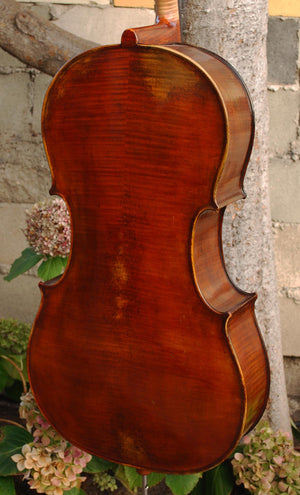 Johann Edler 'Testori' 3/4 Cello