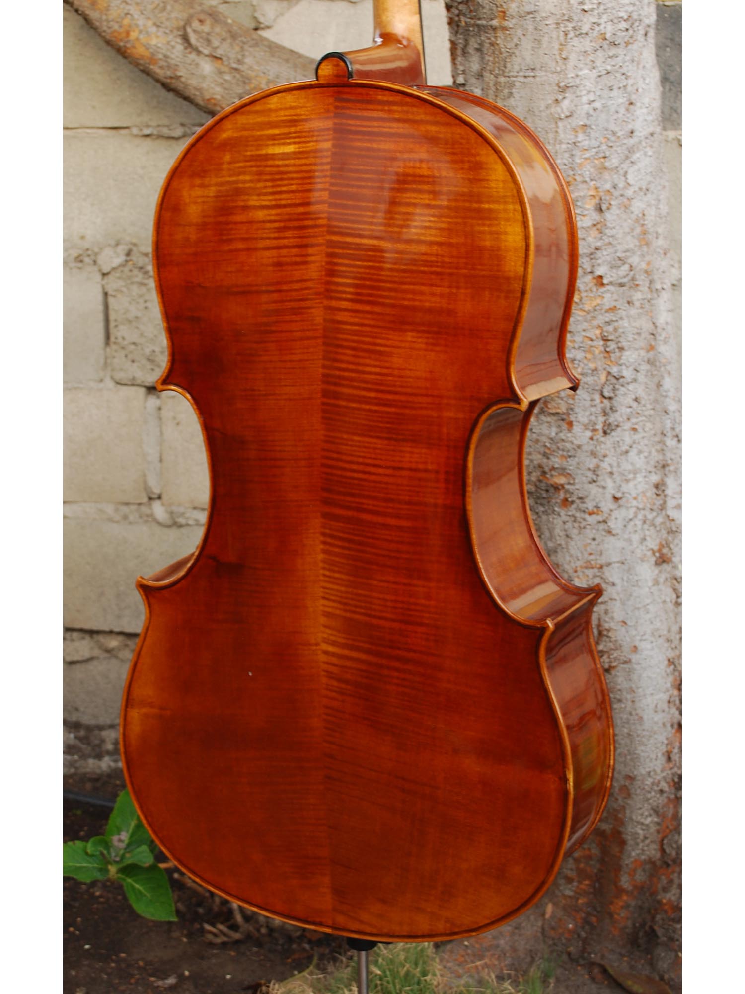 Vivo model 20EG Guadagnini 1777 Replica 4/4 Cello