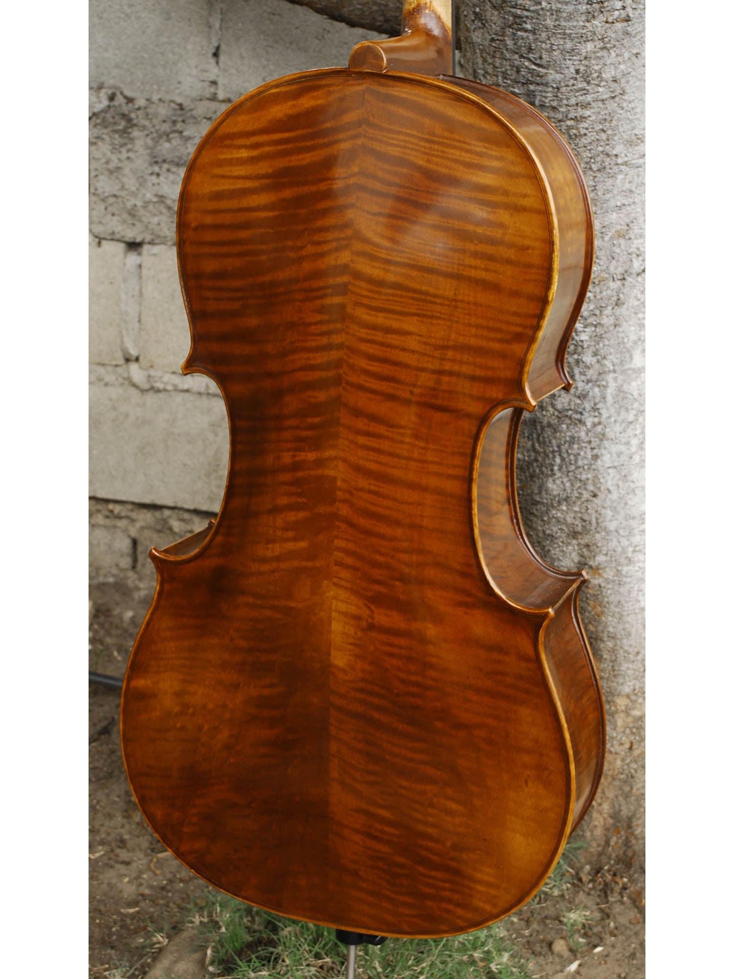 Vivo Strad model 100 3/4 Cello