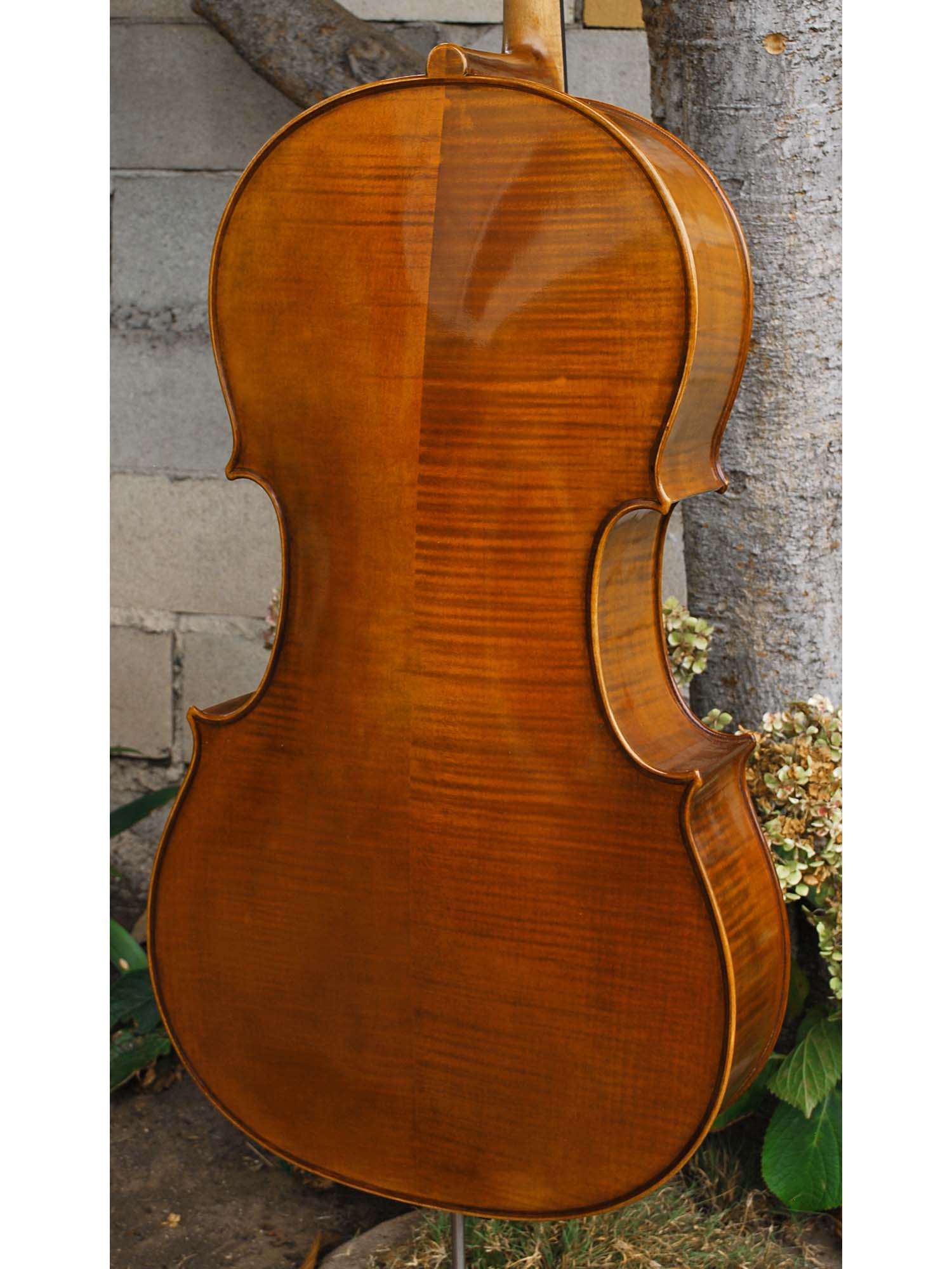 Bieg Company Geigenbau 'Stradivari' model 5 - 4/4 Cello