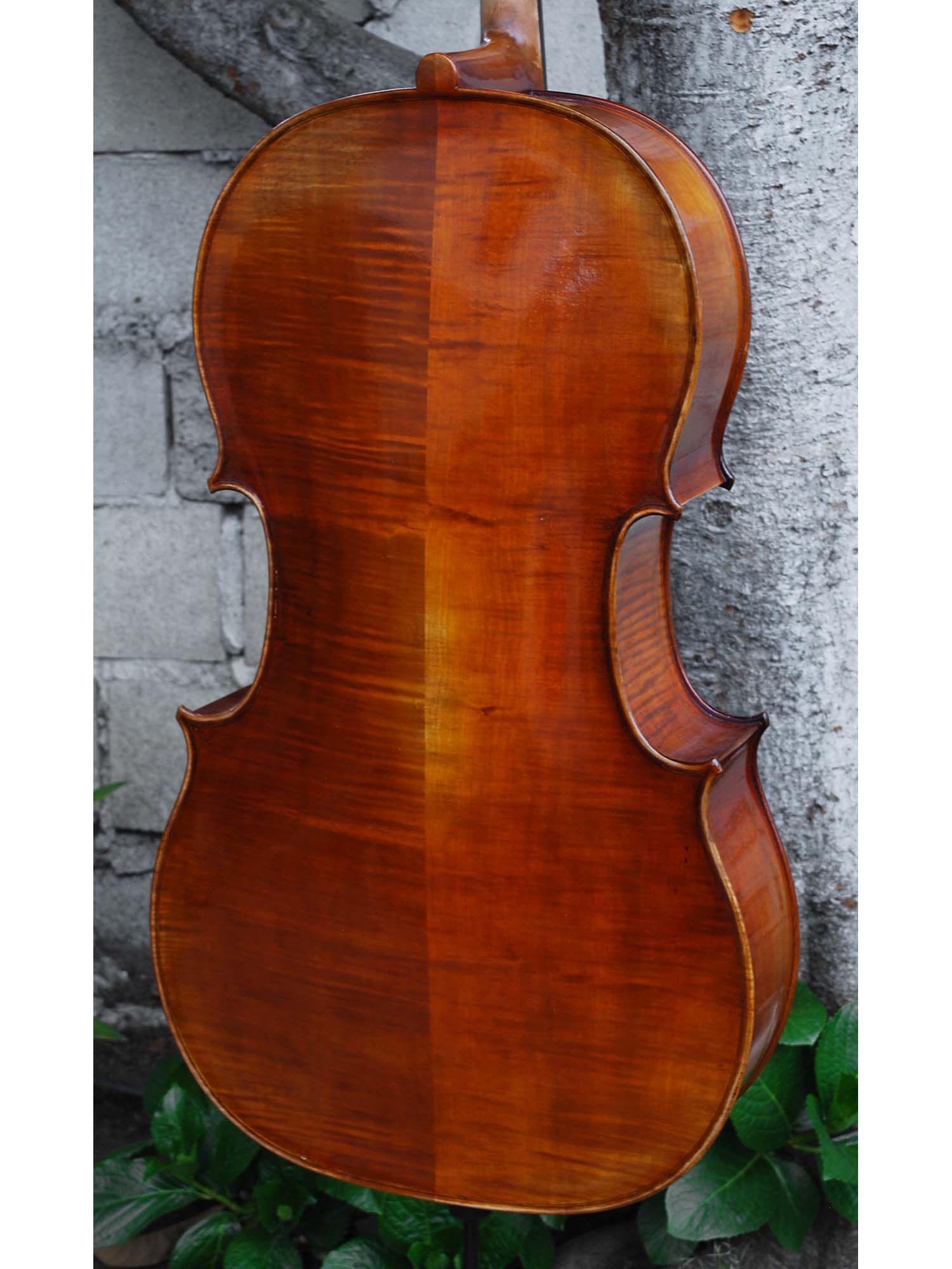 Vivo Strad model 250 3/4 Cello - slightly used