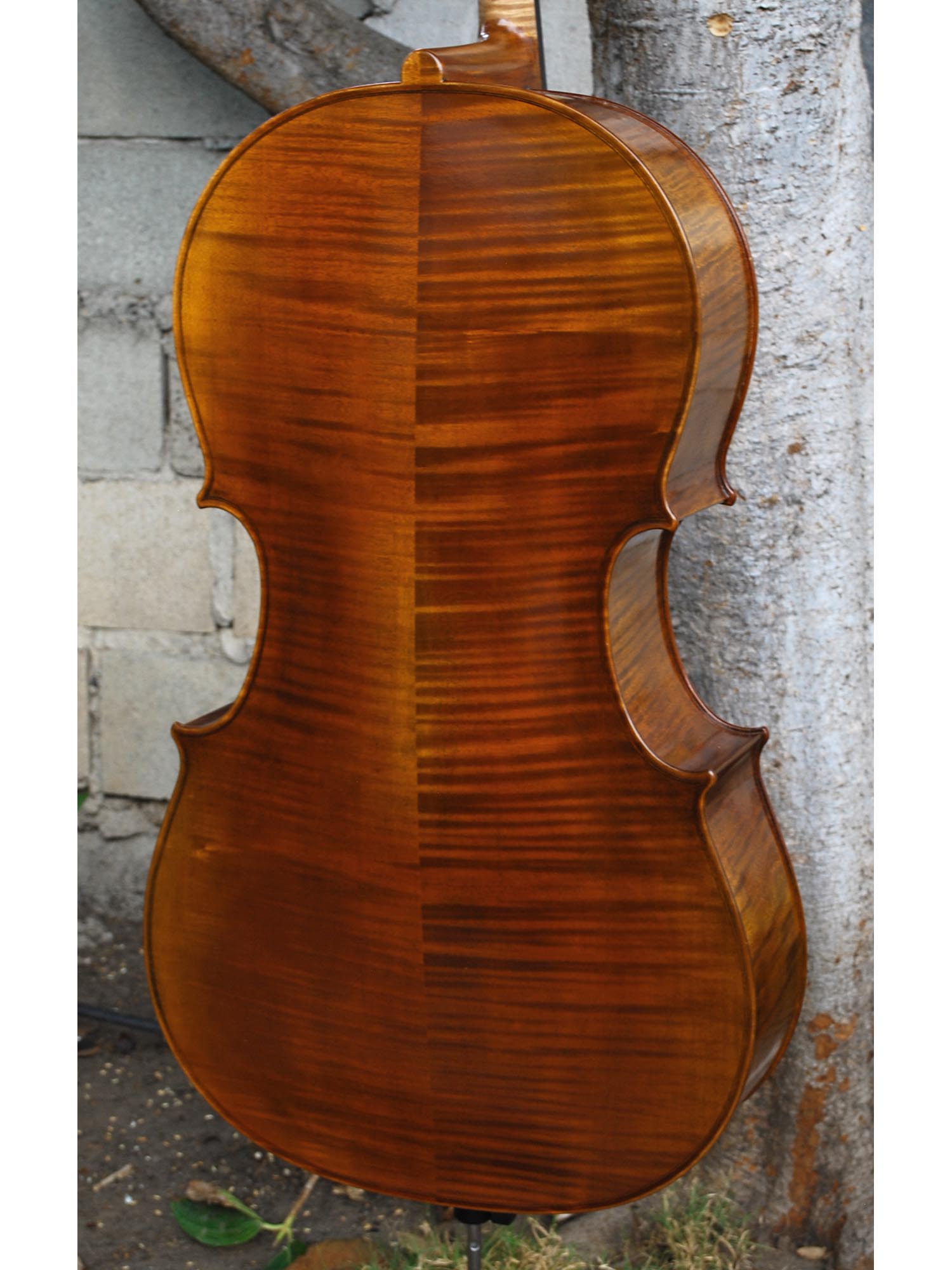 Vivo Guadagnini 1757 Replica 4/4 Cello (25019)