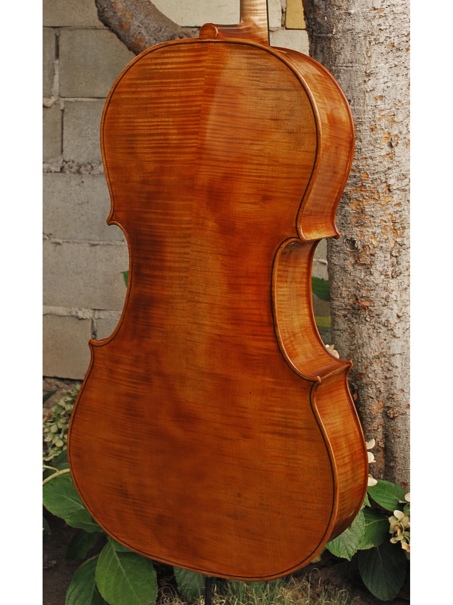 Andrzej Glodek 'Amati' Master 4/4 Cello