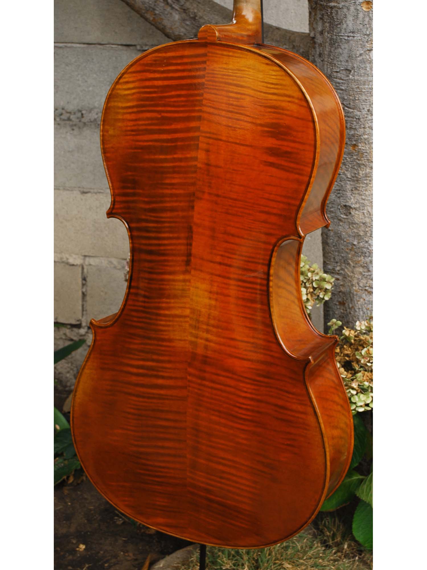 Sheng Liu #7 4/4 Cello