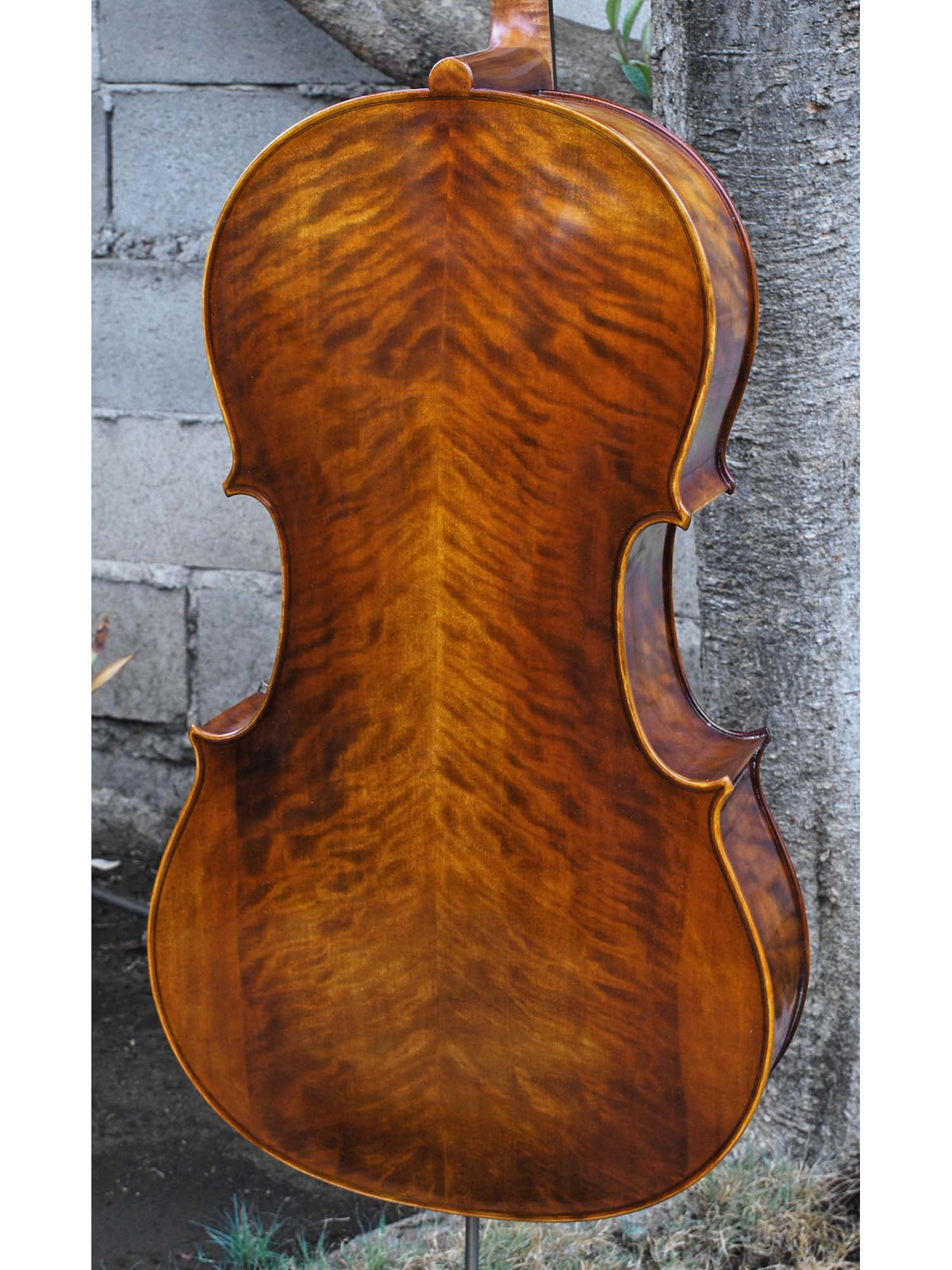 Tomasz Kowalski Workshop Poplar 4/4 Cello