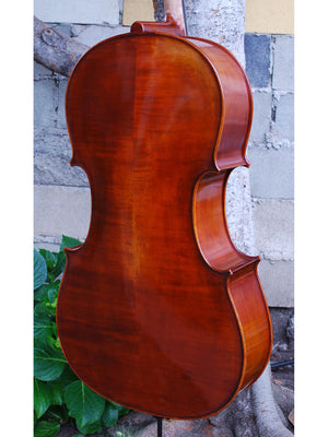 Rudoulf Doetsch model 701 7/8 Cello (B)
