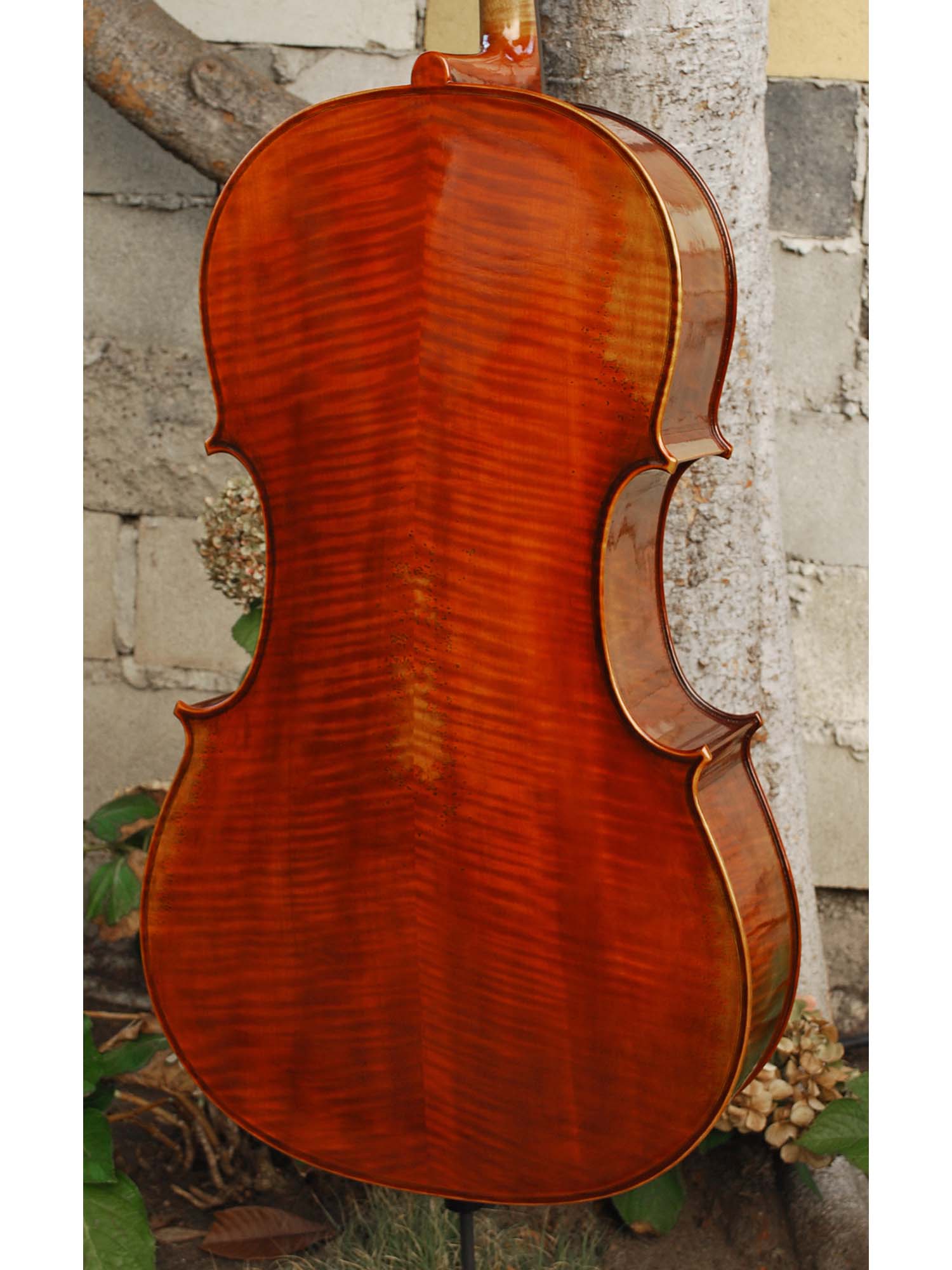 C. Callegari 'Gofriller 1693' Master Copy 4/4 Cello