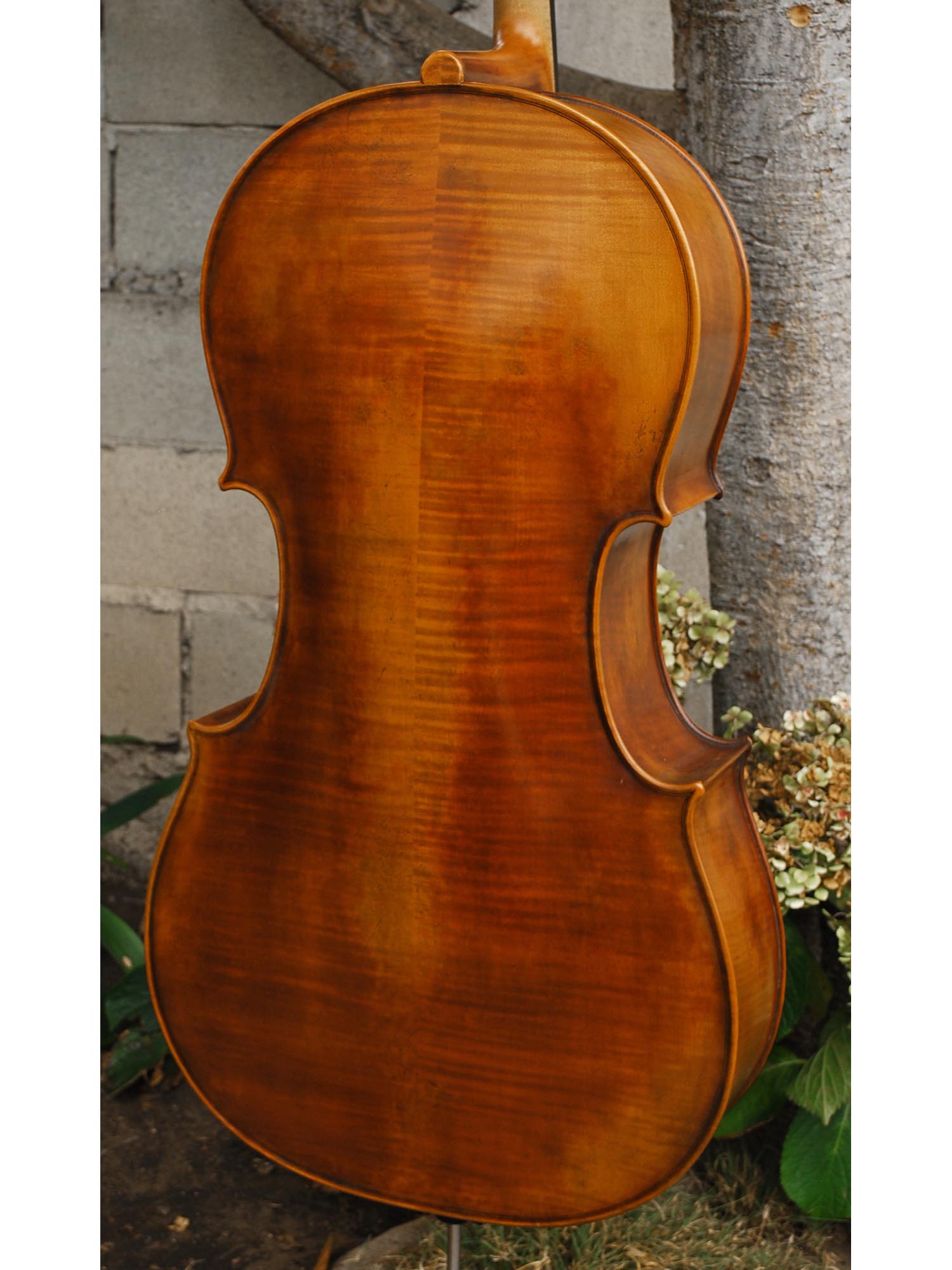 Thomas Hoyer - 4/4 Cello
