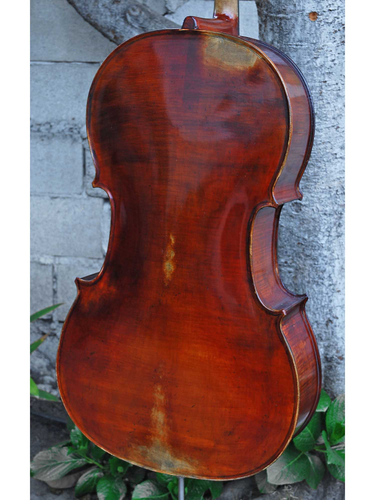 Michael Gerlach 3/4 Cello (183)
