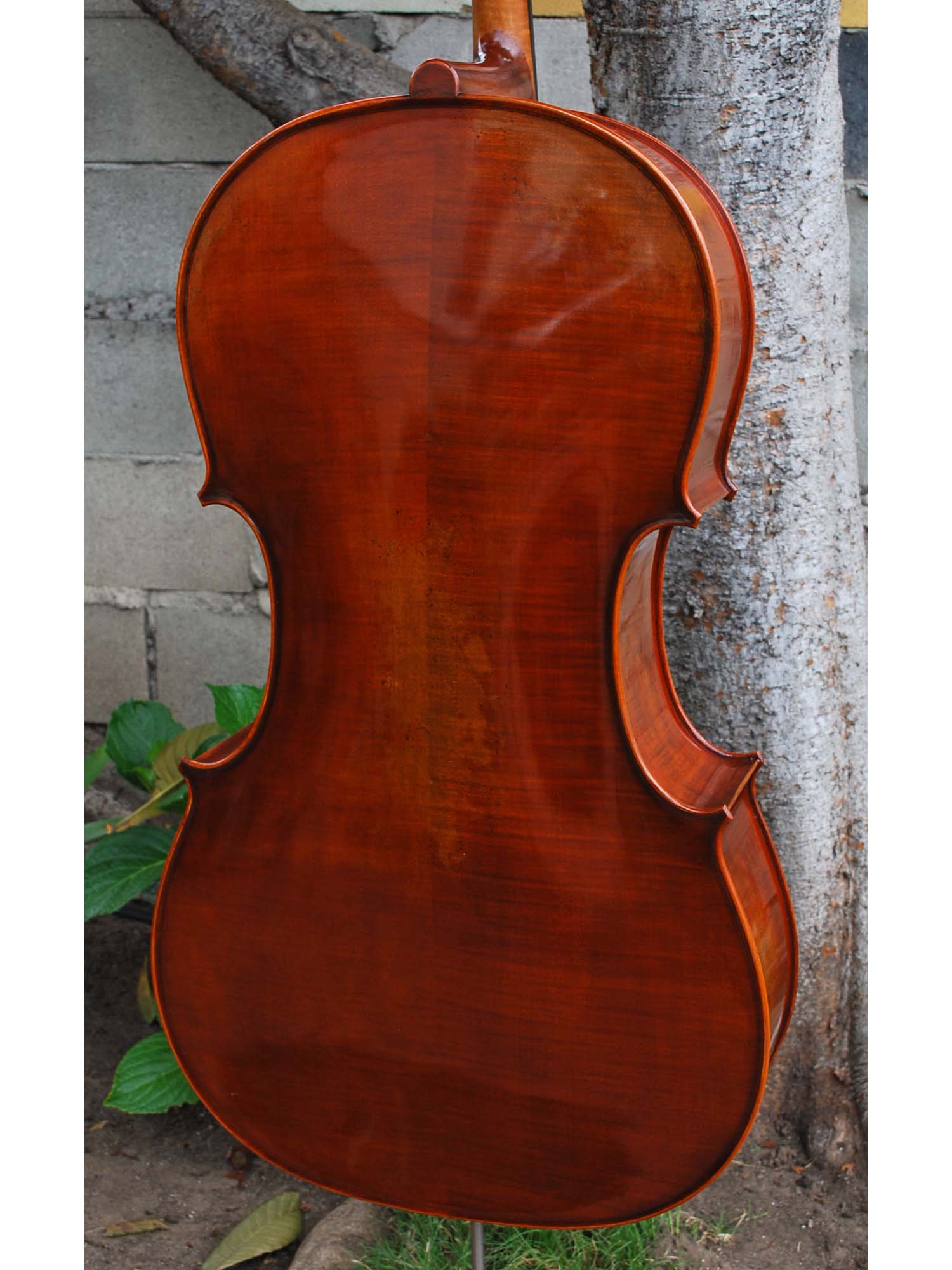 Rudoulf Doetsch model 701 'Guarneri Del Gesu' 4/4 Cello