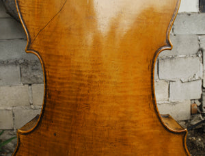 Old Cello labeled 'Ferdinandus Gagliano 1761' - 4/4 Cello