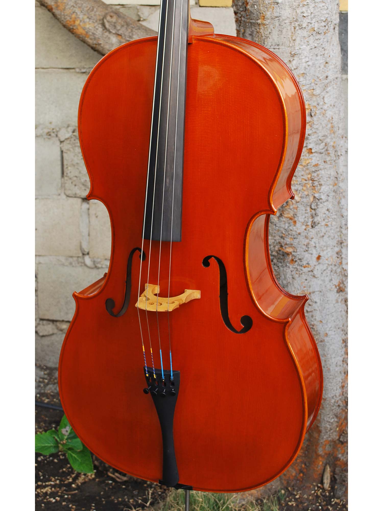 Angel Taylor model 120 4/4 Cello