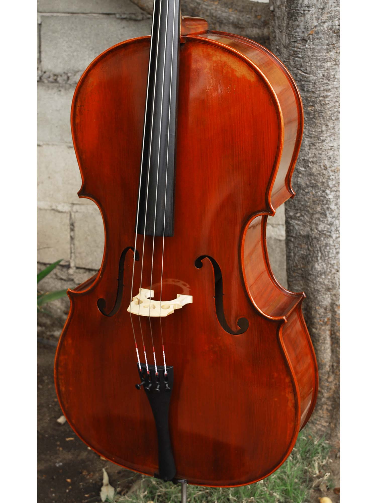 Jean-Pierre Lupot 'Strad' model 501 - 4/4 Cello
