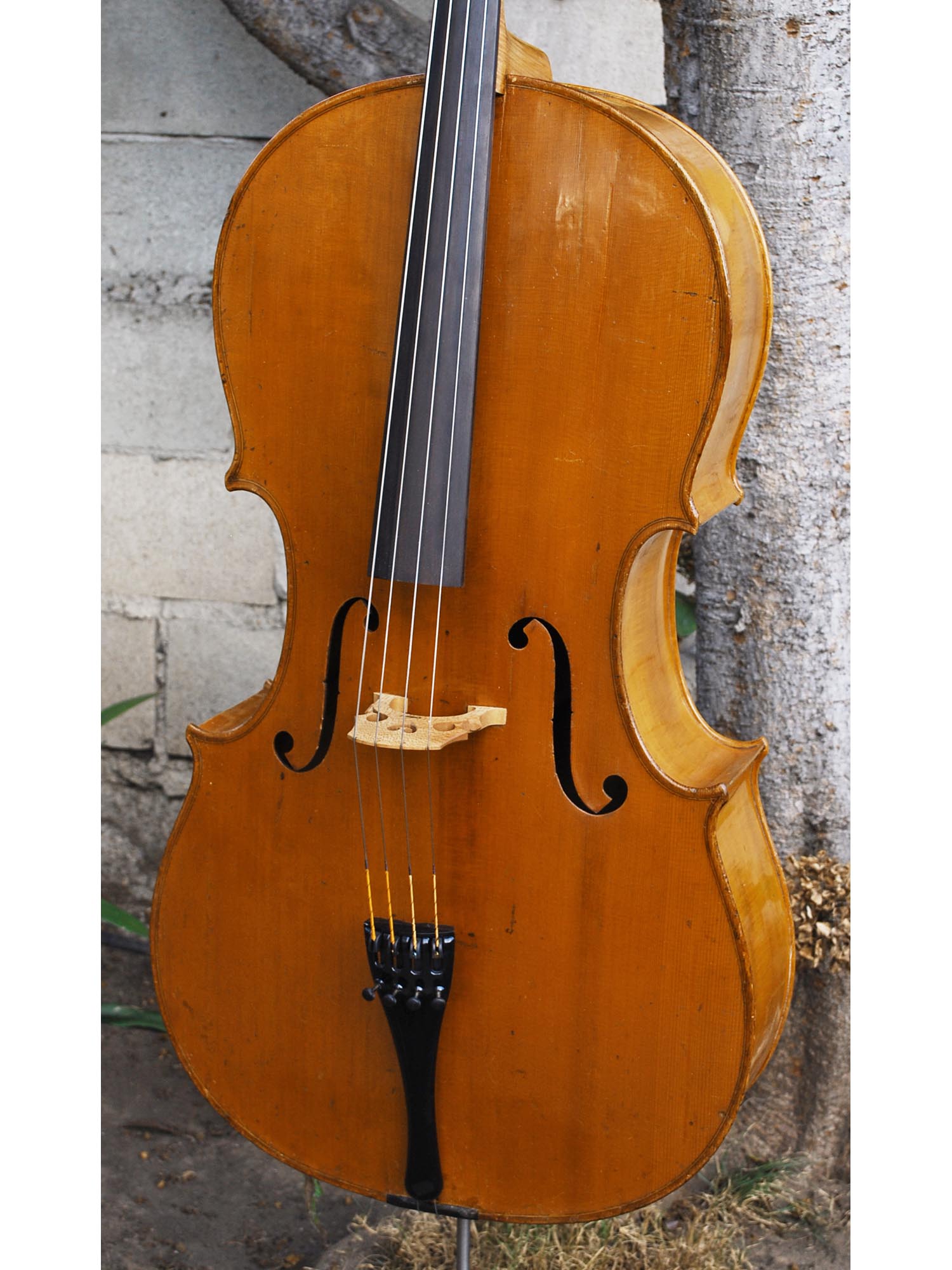 Cello for Home Page Tagged 