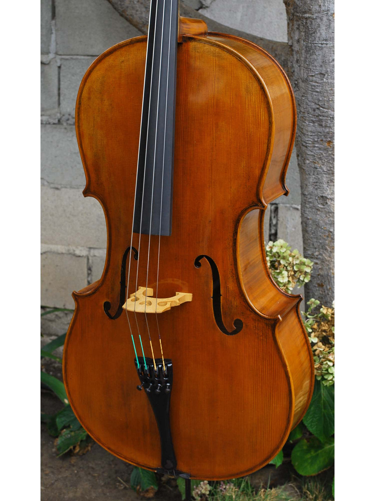 Pietro Lombardi model 502 - 7/8 Cello