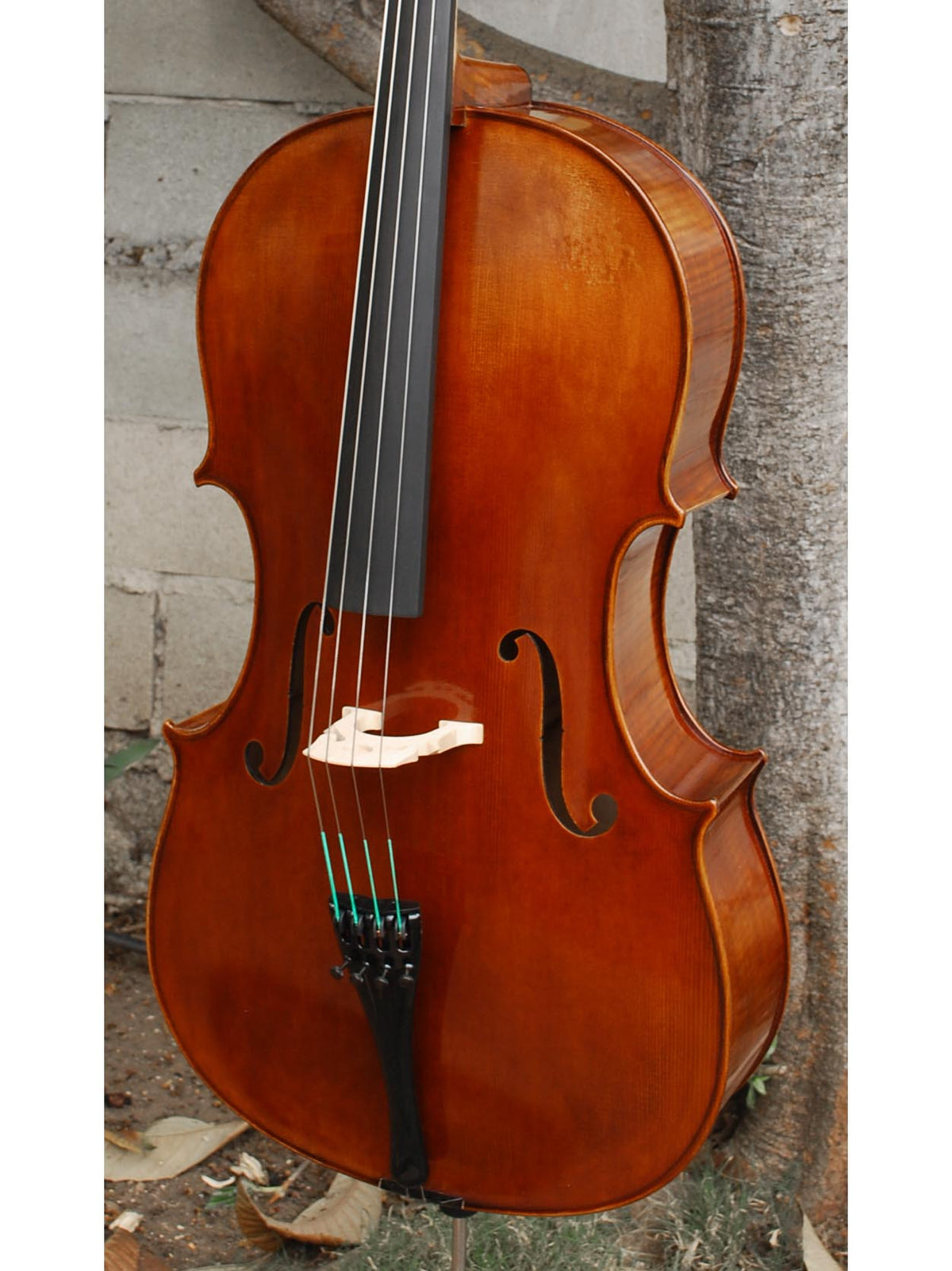 Vivo Guadagnini 1777 'Simpson' Replica 4/4 Cello (26120)