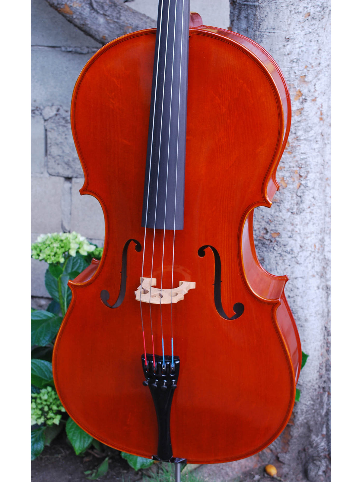 Johannes Seibert Model 250 'Stradivari' 7/8 Cello