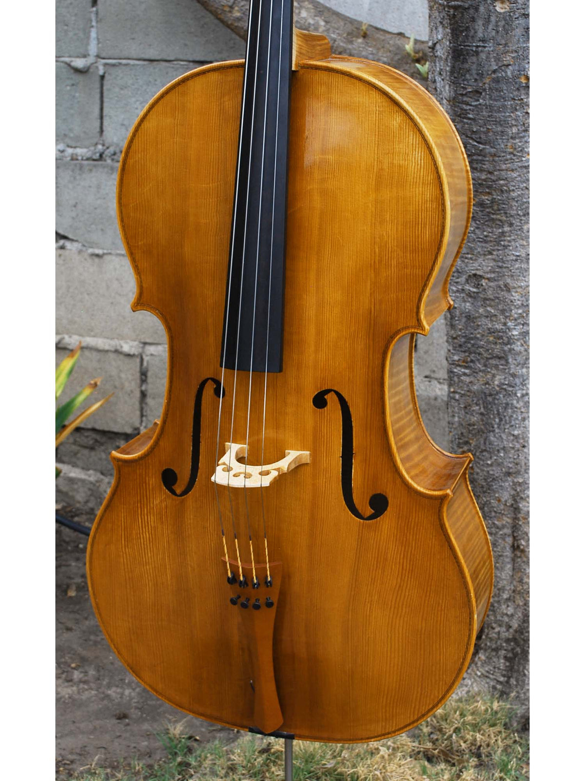 Tadeusz Slipek Master 'Jacobs' Golden 4/4 Cello