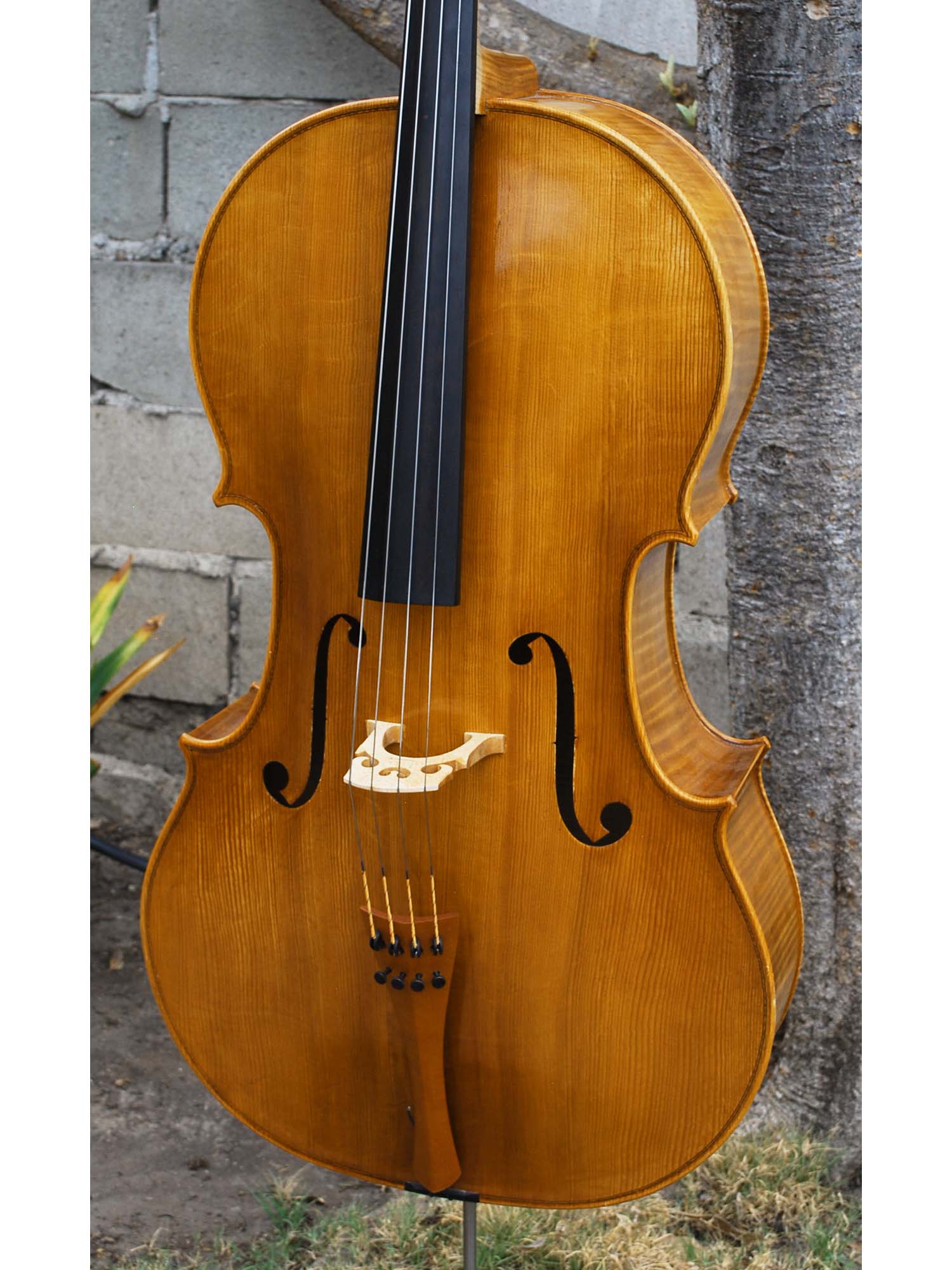 Tadeusz Slipek Master 'Jacobs' Golden 4/4 Cello