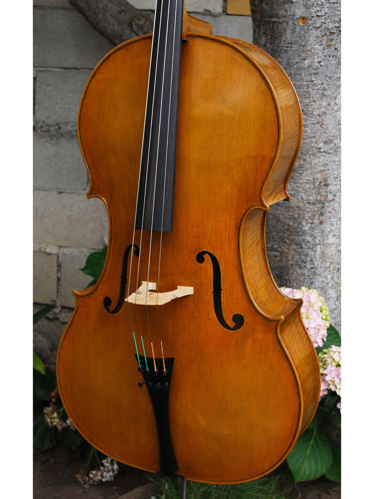 Jan Szlachtowski Master Level 'Gofriller' 4/4 Cello