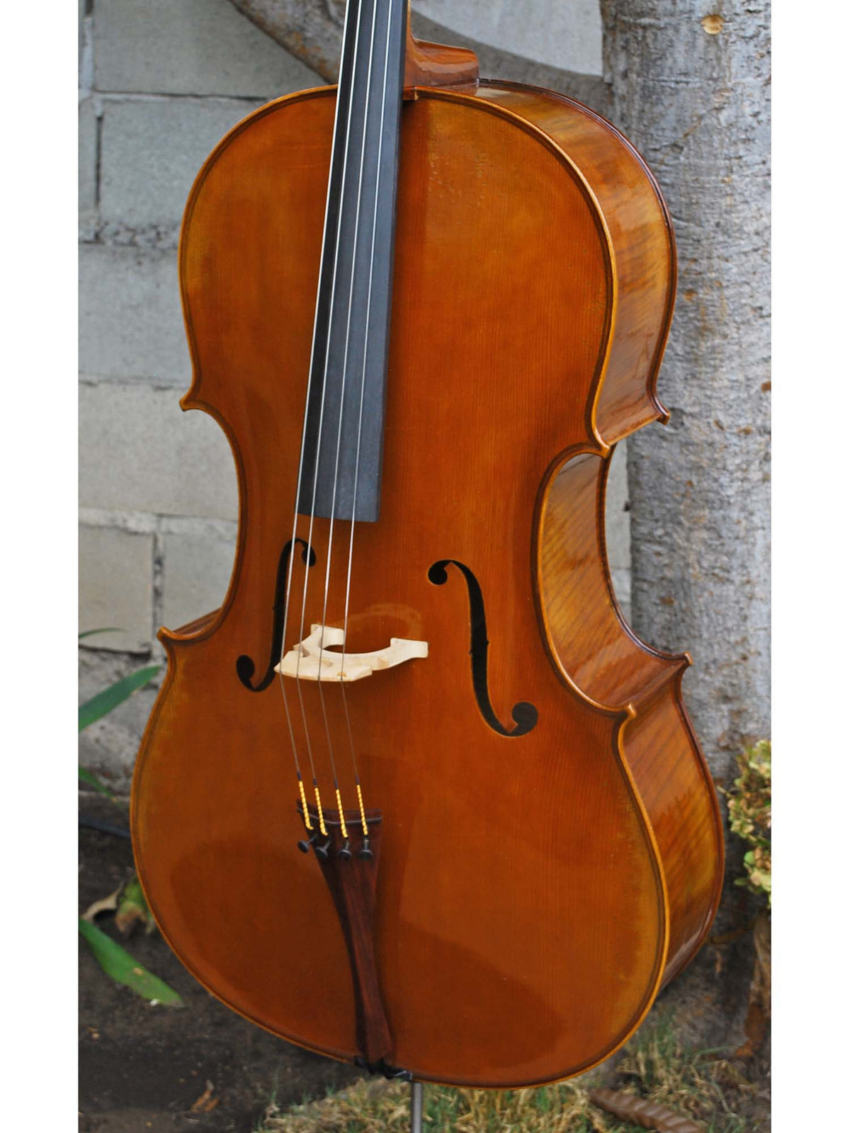 Salvatore Callegari 'Gofriller 1693' 4/4 Cello