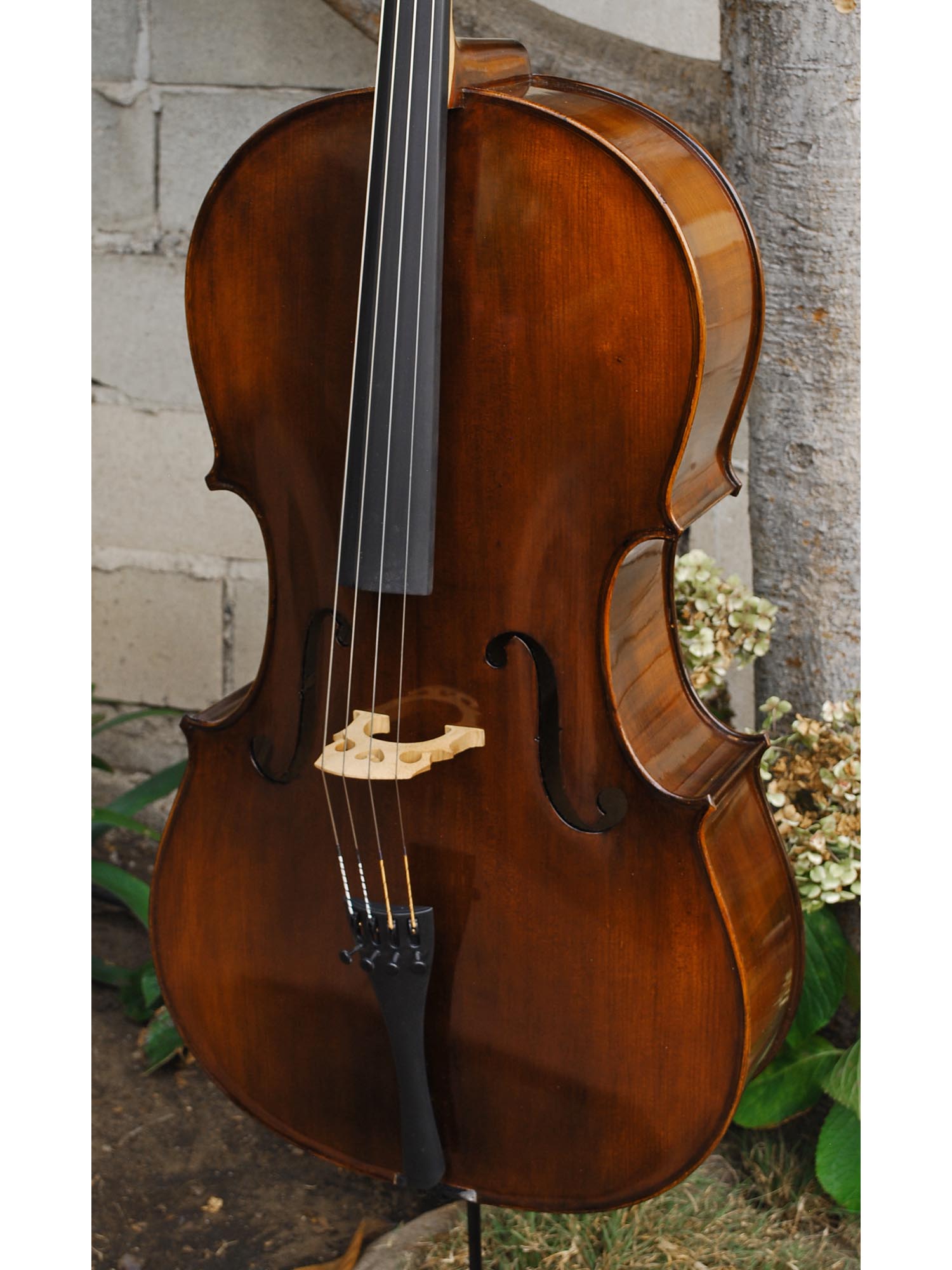 Eastman model 305 'Strad'  - 4/4 Cello (A)