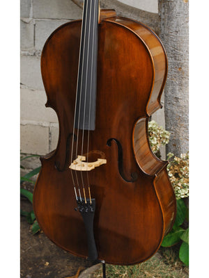 Eastman model 305 'Strad'  - 4/4 Cello (A)