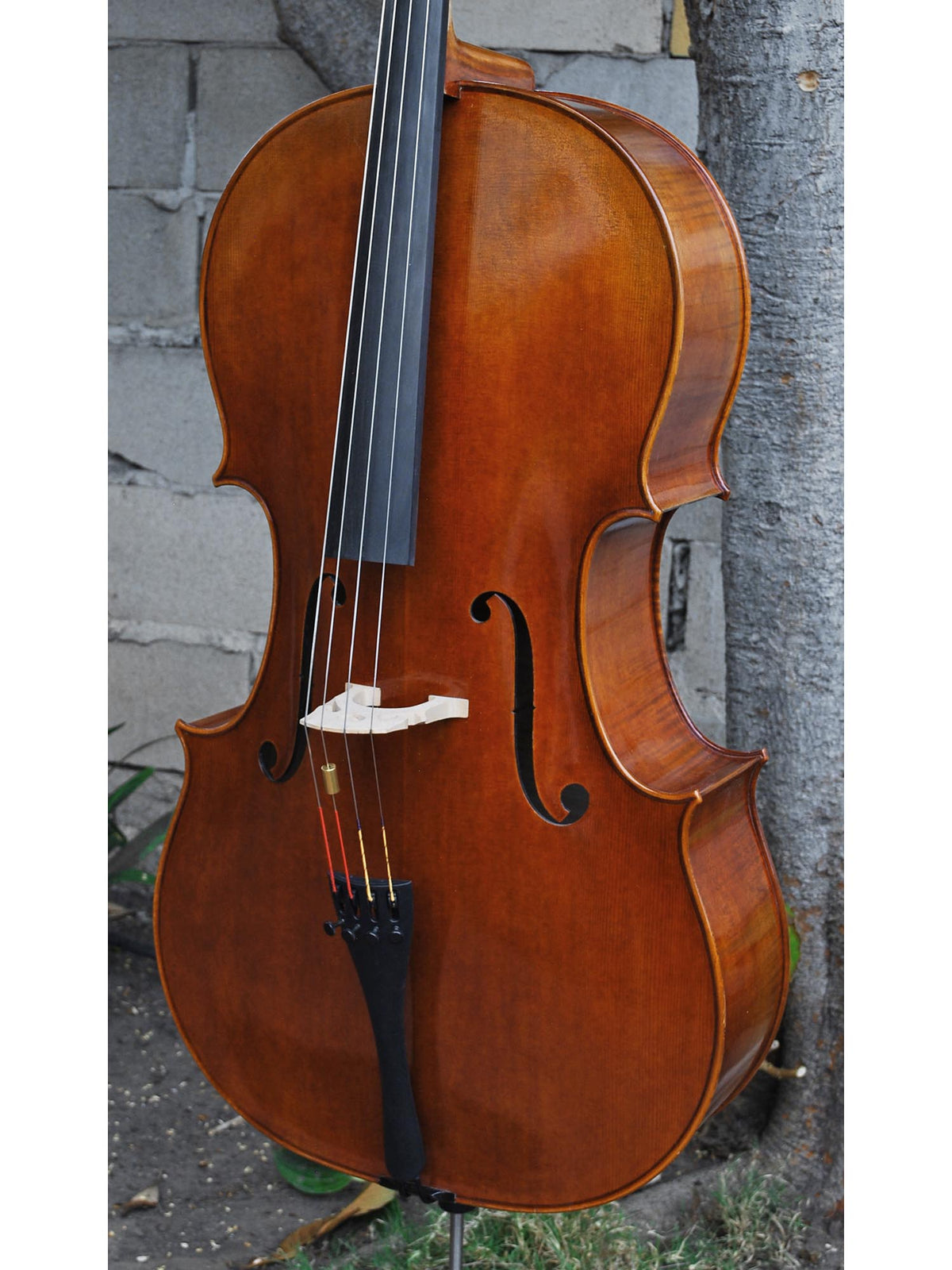 Vivo Gofriller Replica 4/4 Cello