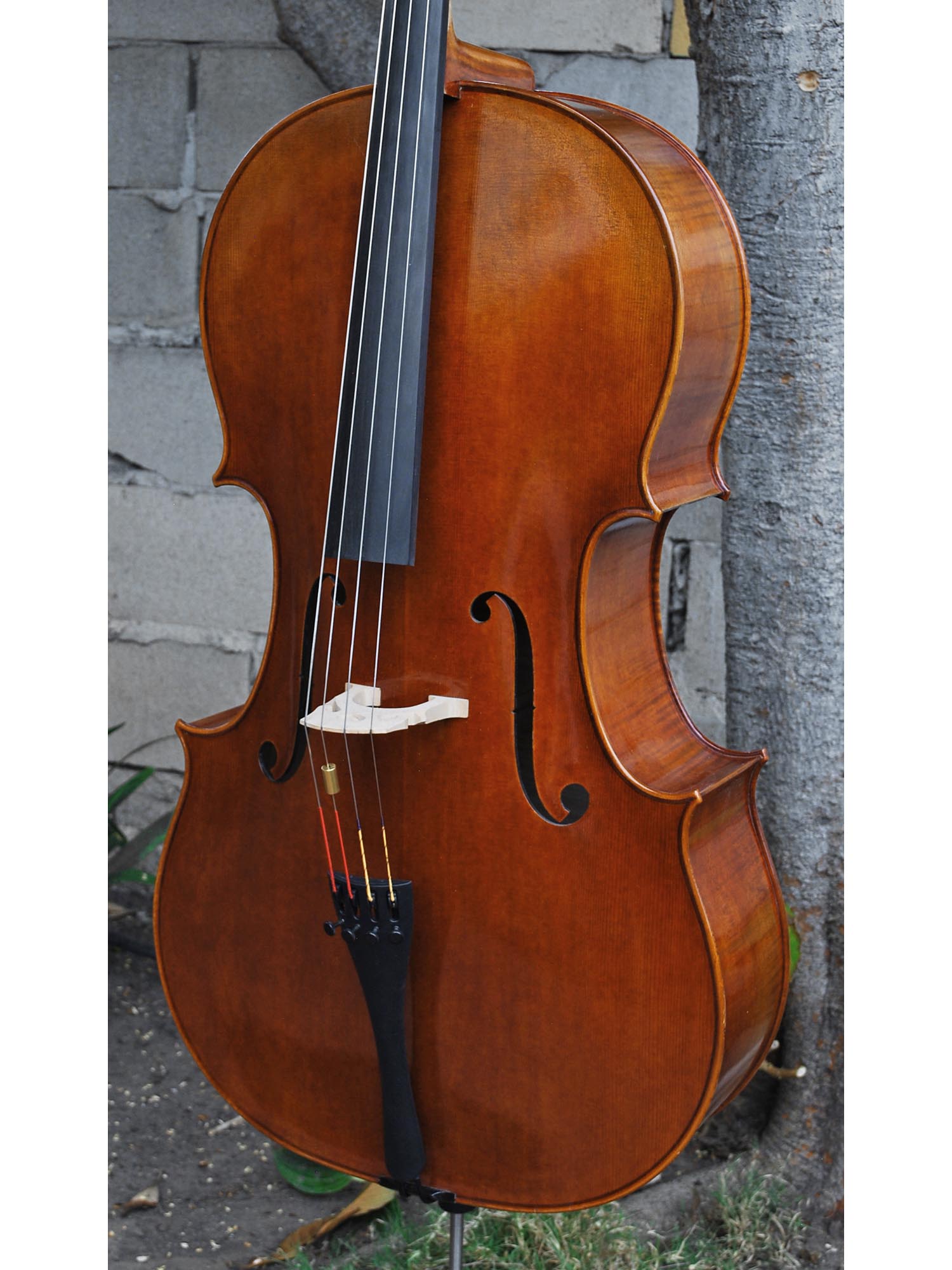 Vivo Gofriller Replica 4/4 Cello