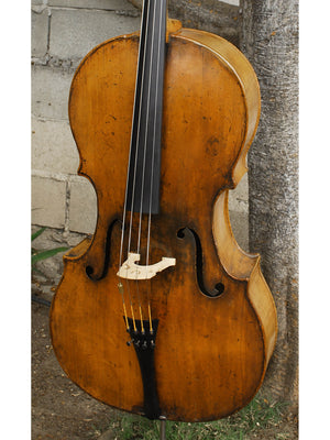 Old Cello labeled 'Ferdinandus Gagliano 1761' - 4/4 Cello