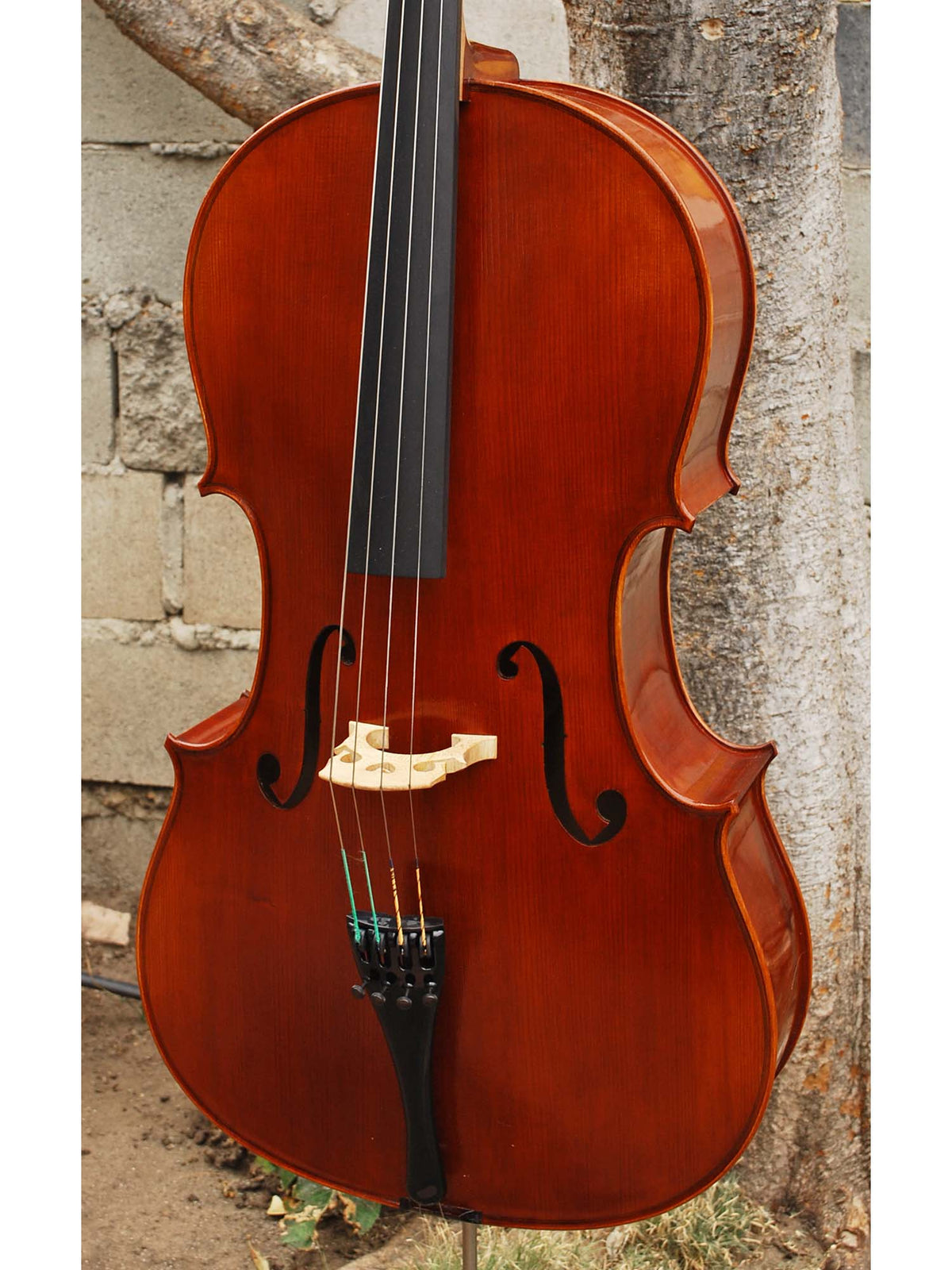Viktor Resca #5 (Romania) - 7/8 Cello