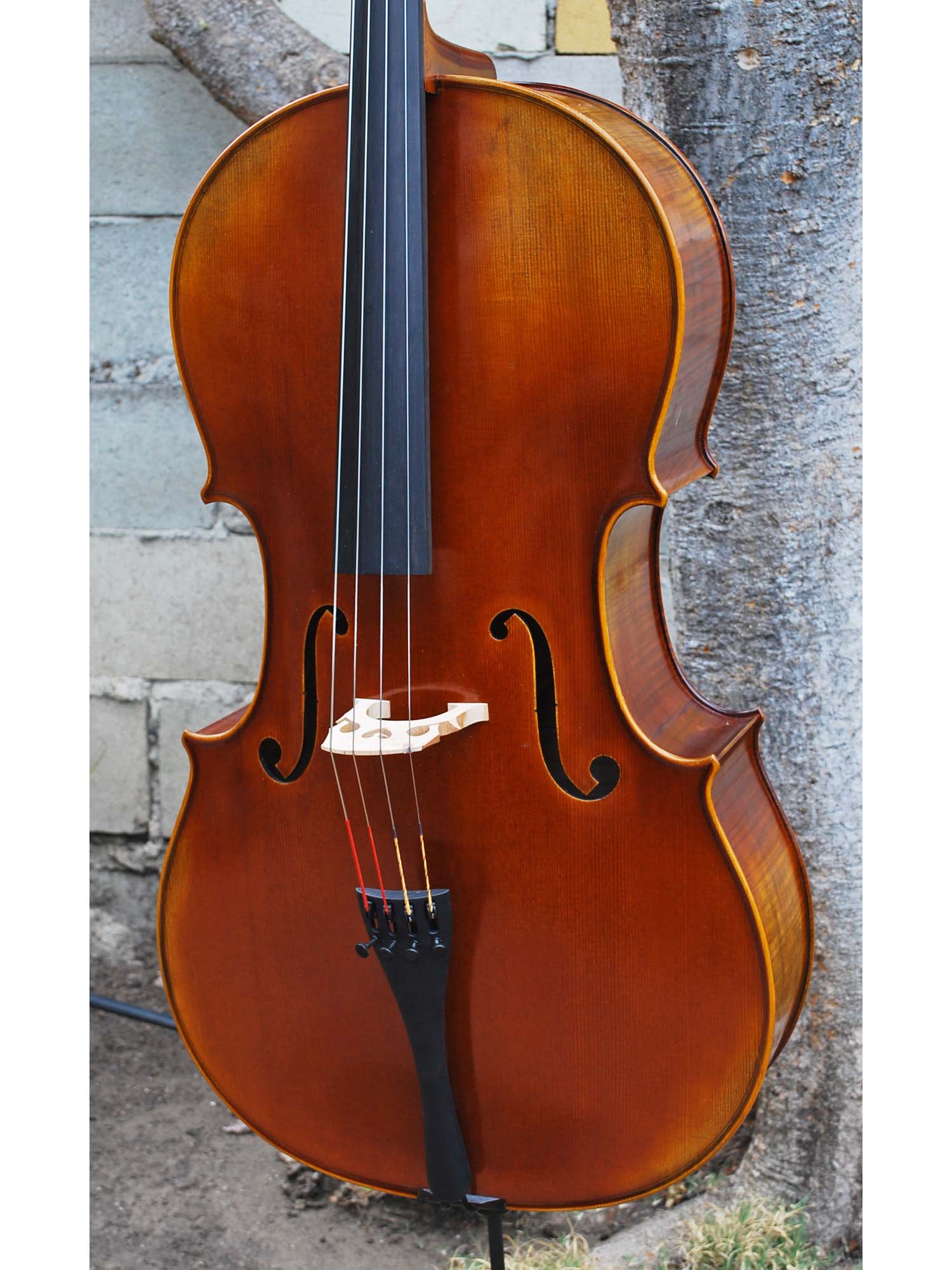 Antonio Fiorini 650 'Stradivari' - 7/8 Cello (0826)