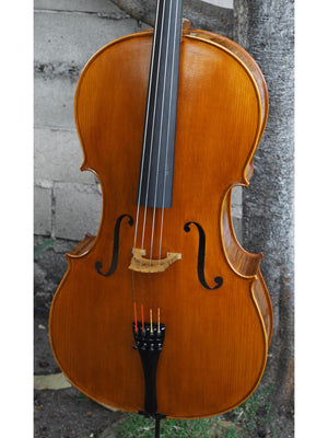 Victor Resca Model #7 4/4 Cello "BFF"