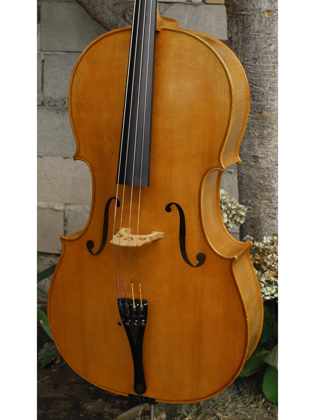 Emanuel Wilfer Master 'Stradivari' 4/4 Cello