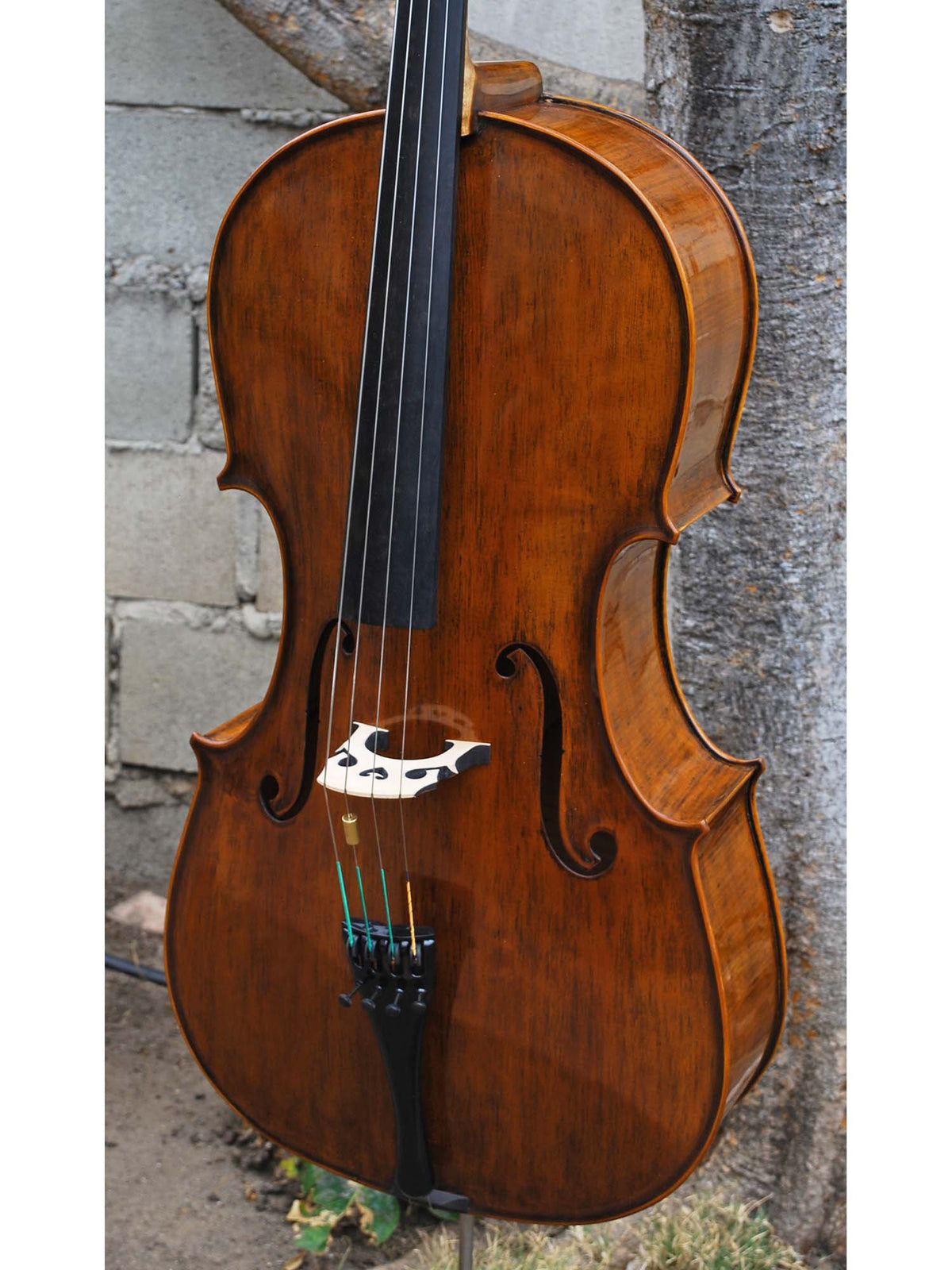 Nicholas Baciu #5 "Tiki Bob" (Romania) - 7/8 Cello