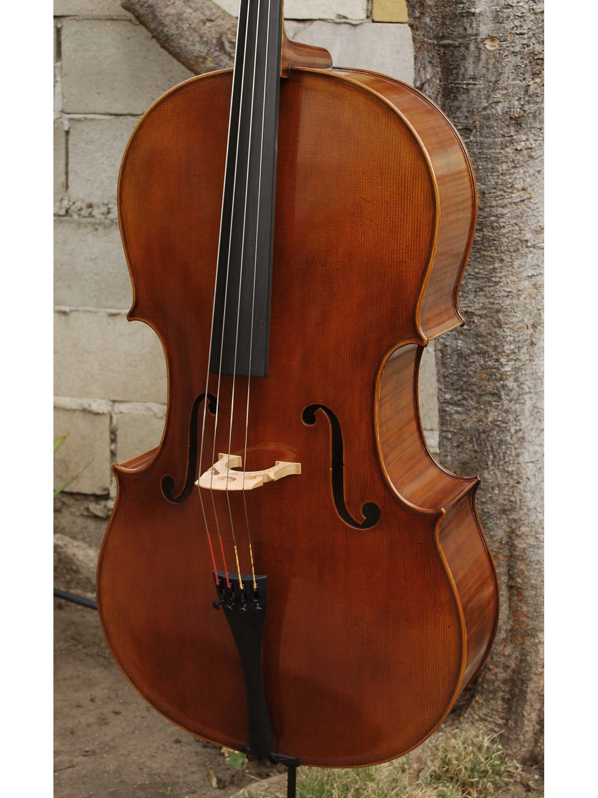 C.L. Wynn 620 'Gofriller' 4/4 Cello