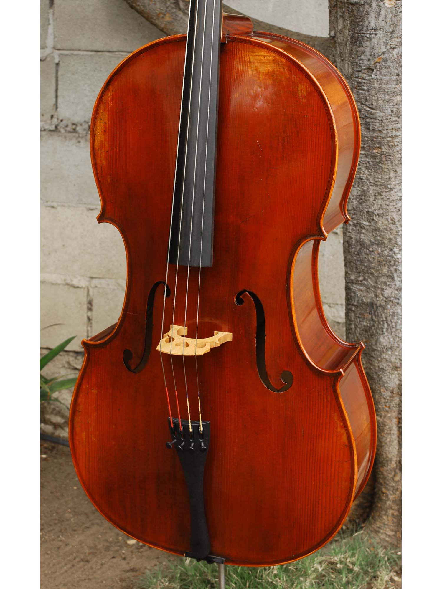 Ivan Dunov 'Luigi' model 401 'Strad'  - 4/4 Cello