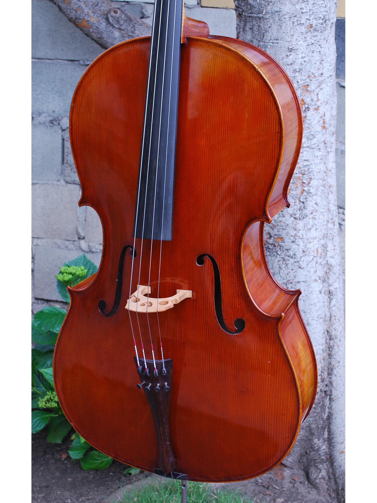 Dimbath/Gill Master Soloist model X7 'Ruggeri' Cello