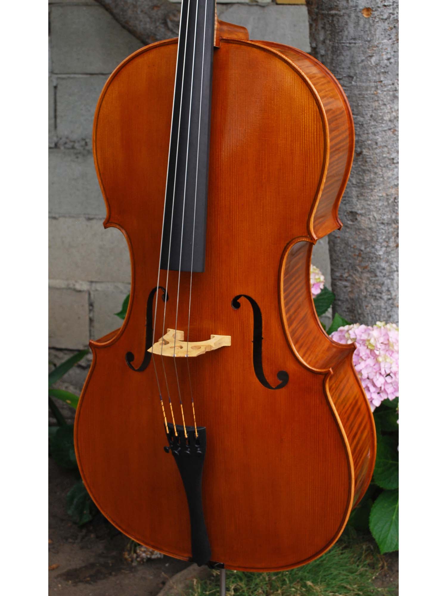 Victor Resca Model #6 4/4 Cello
