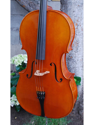 Helmut Illner model V 4/4 Cello 2004