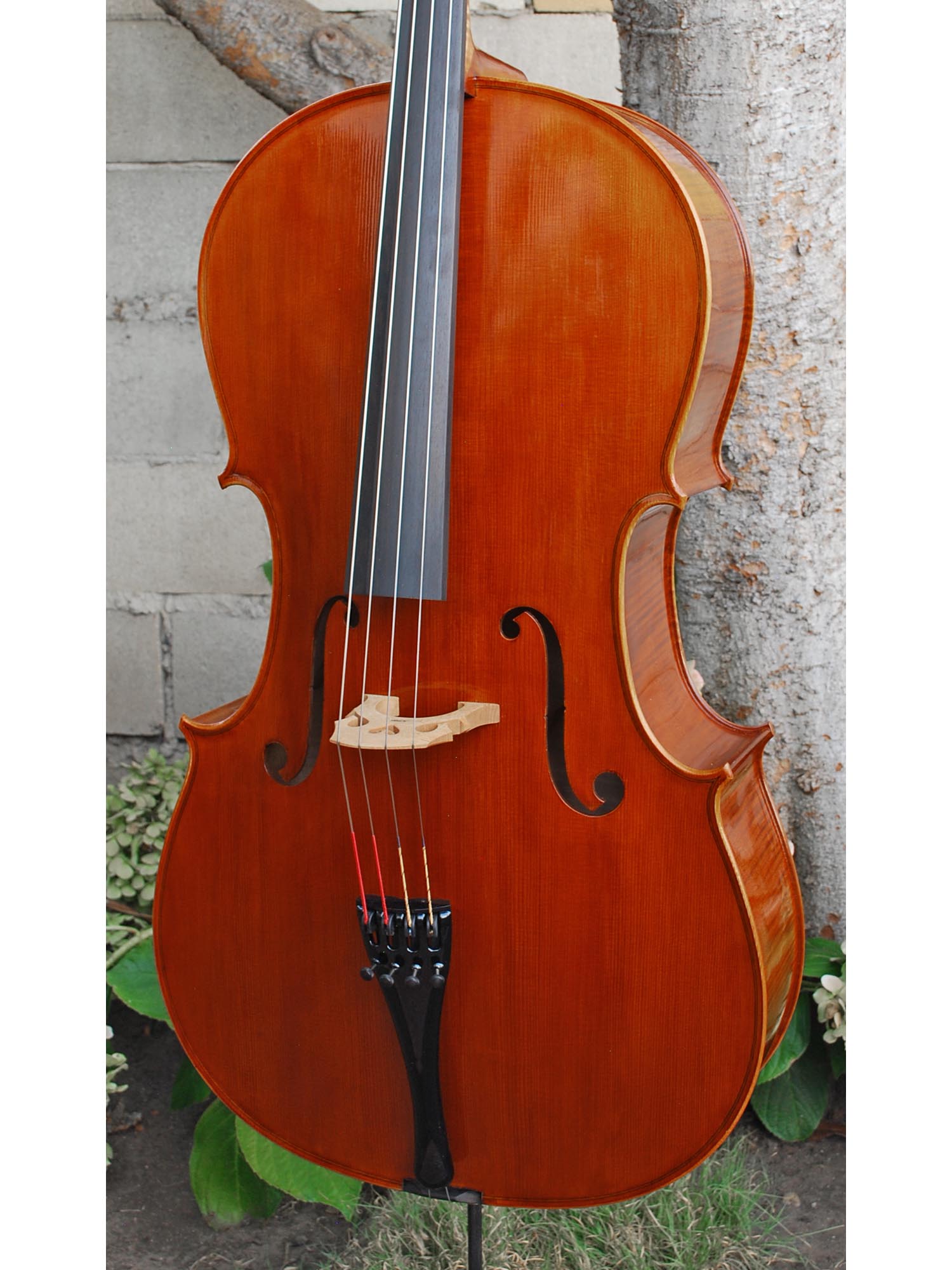 Calin Wultur Model #6 'Guarneri' 7/8 Cello