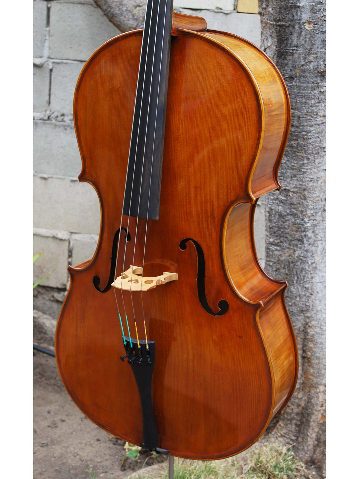 Eastman model 830 Poplar Strad pattern 4/4 Cello