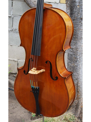 Eastman model 830 Poplar Strad pattern 4/4 Cello