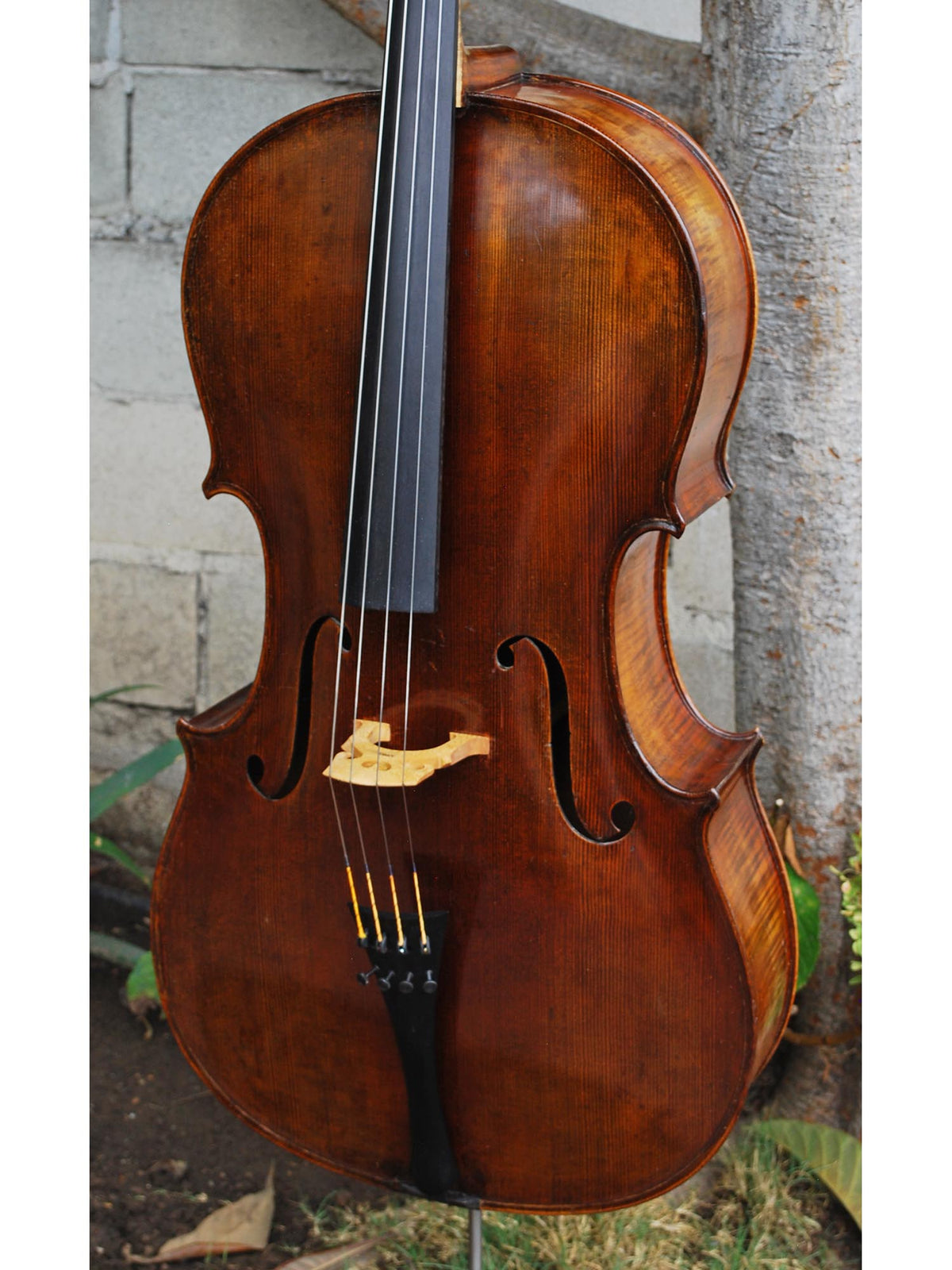 John Juzek Master Art 4/4 CELLO