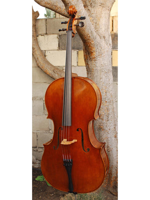 Vivo Gofriller Master Replica 4/4 Cello