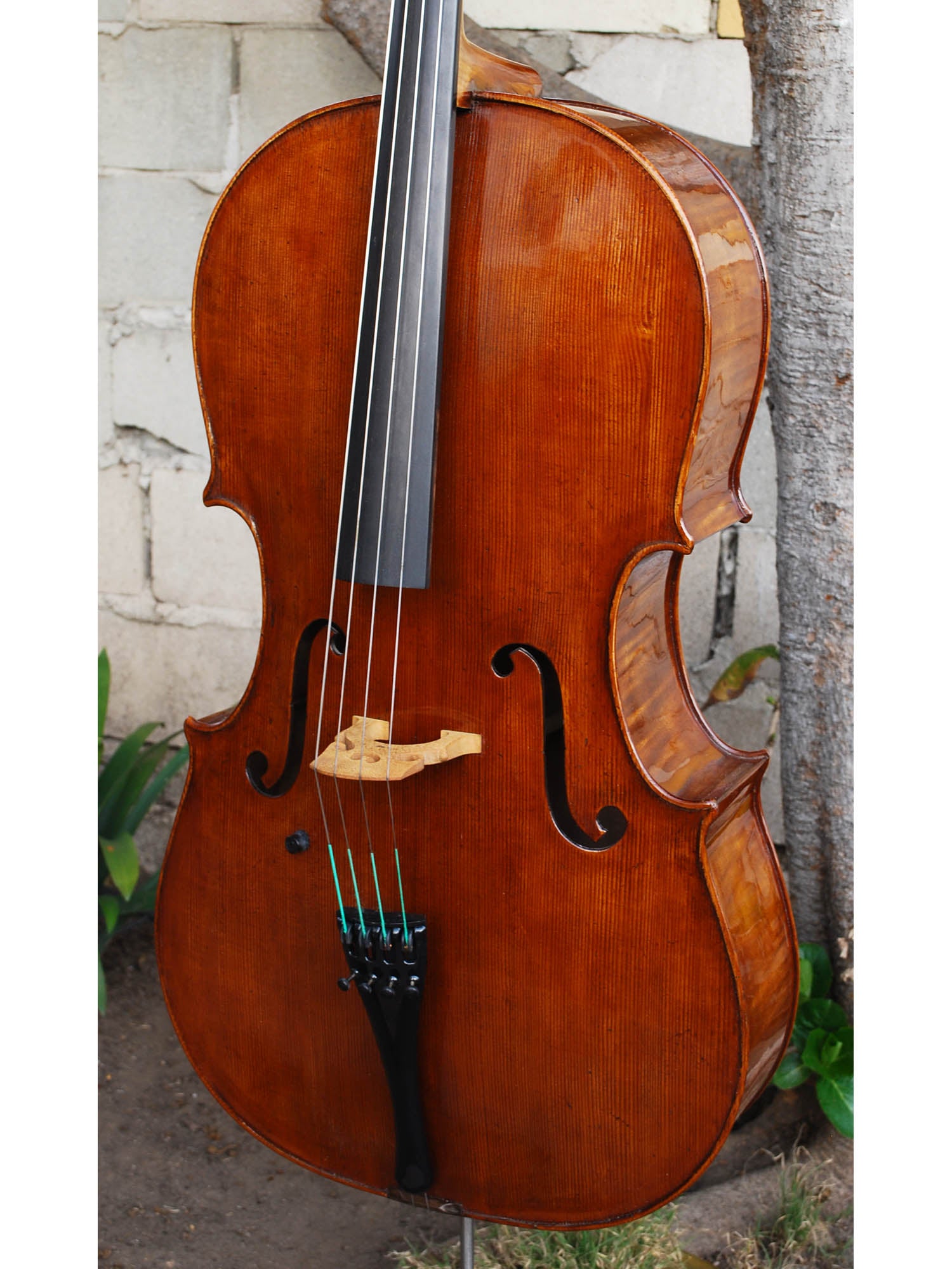 New and Used Cellos Tagged 