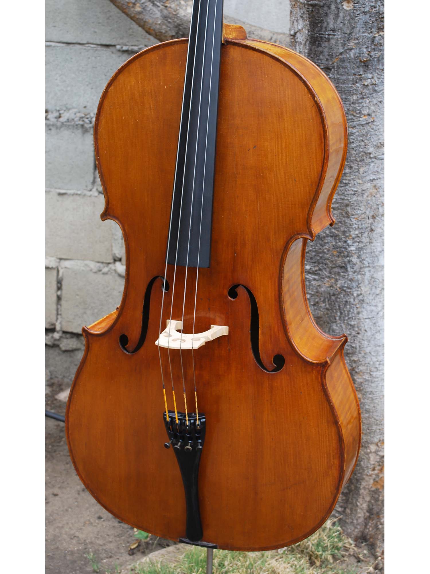 J.W. Schult early 20th Century - 4/4 Cello